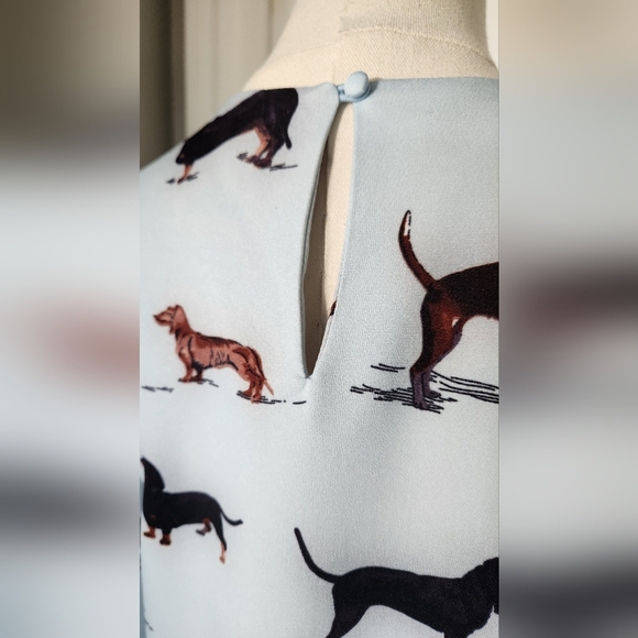 Compania Fantastica Dog Dress - Picture 8 of 9